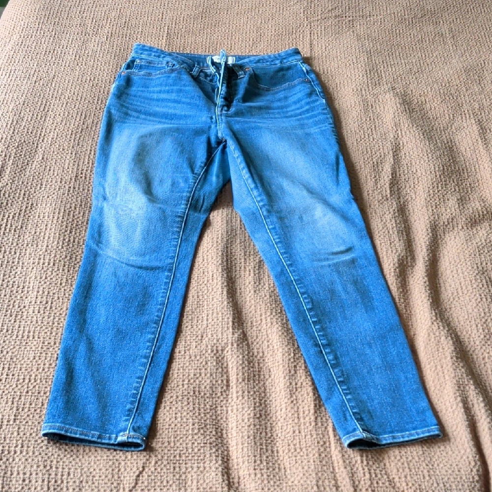 Madewell Women's Skinny Jeans in Blue